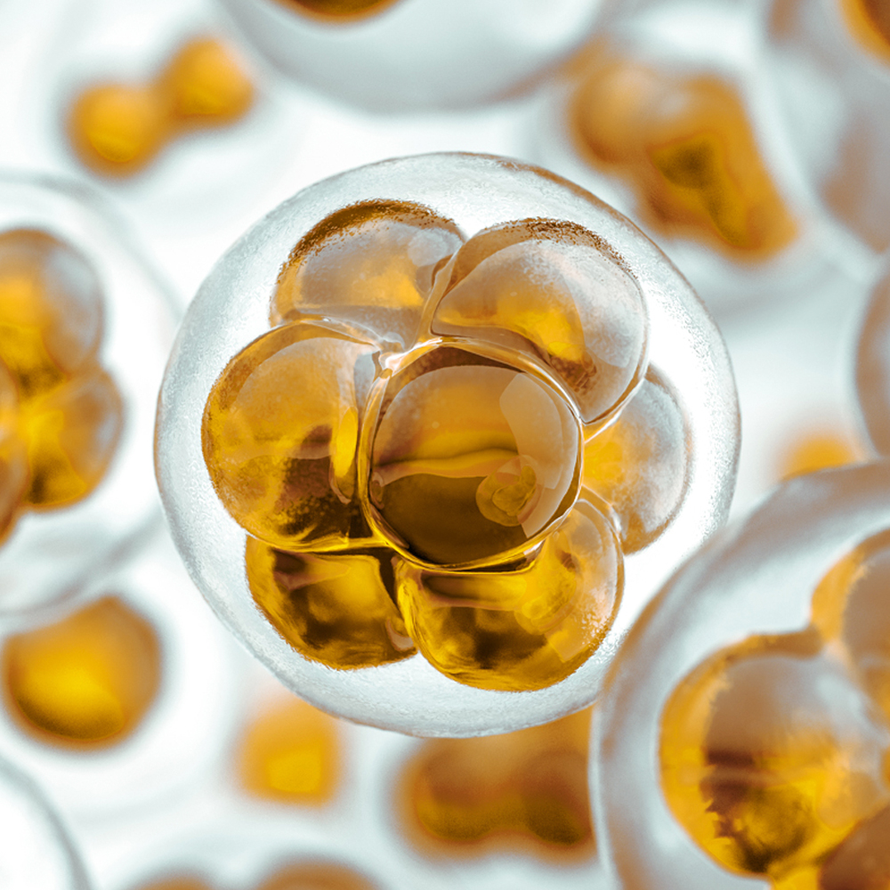 Allied Products Barrettine Industrial